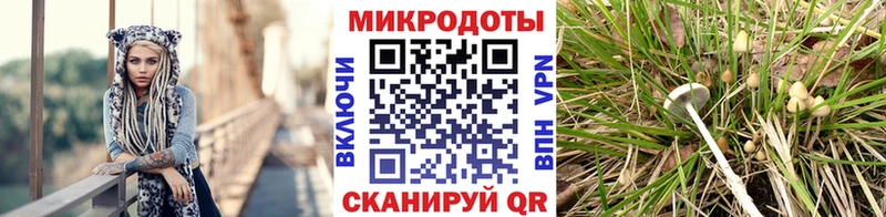 Псилоцибиновые грибы прущие грибы  наркота  MEGA зеркало  Алапаевск 