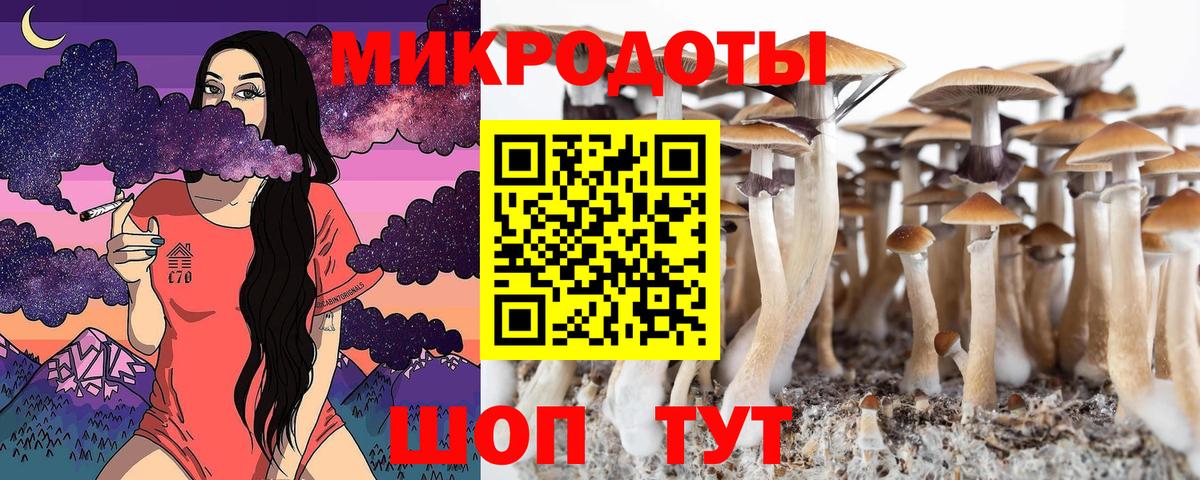 Галлюциногенные грибы мухоморы  Вход с VPN  Алапаевск 